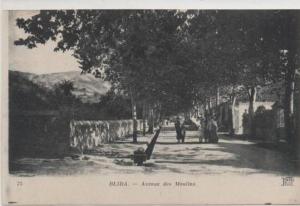 75  BLIDA AVENUE DES MOULINS