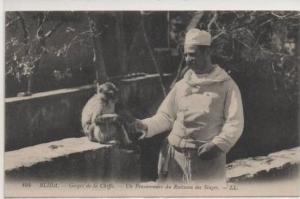 104 BLIDA  UN PENSIONNAIRE DU RUISSEZAU  DES SINGES