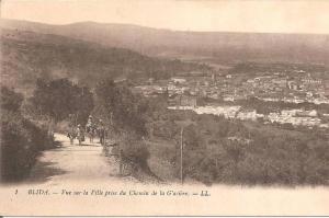 BLIDA (ALGERIE) Vue sur la Ville prise du Chemin de la Glacière en 1921