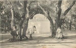 ALGERIE BLIDA  BOIS SACRE    SCANS RESTO VERSO