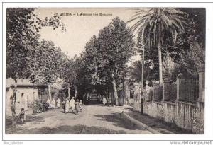 Blida - l´avenue des Moulins - animée - n° 47 - Algérie