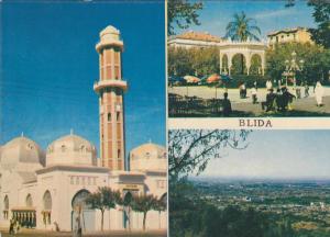 AFRIQUE,ALGERIE FRANCAISE,AFRICA,BLIDA IL Y A 38 ANS,MOSQUEE,TEMPLE,PARC,k iosque