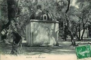 Algérie  BLIDA  Le Bois-Sacré