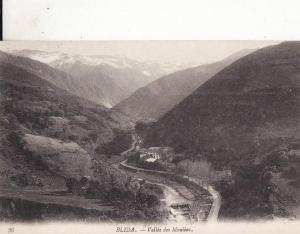 *** ALGERIE - BLIDA  - Vallée des Moulins *** CPA Non-Ecrite  Edts