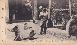 BLIDA , Algeria , 00-10s ; Gorges de la Chiffa au Ruisseau des singes