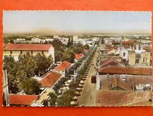 BLIDA  ALGÉRIE  VUE GALERNE Edit JANSOL