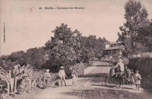 BLIDA/ L'AVENUE des MOULINS/ TRES BELLE ANIMATION LOCALE et COLONIALE  / Référence 2616