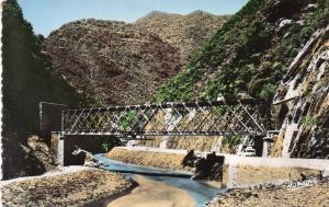 CARTE POSTALE. ALGERIE. BLIDA. PONT CHEMIN DE FER.