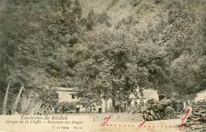 gorges de la chiffa - ruisseau des singes