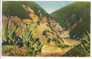 BLIDA.-Vue des Gorges de la Chiffa, 00-10s