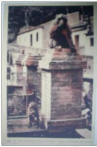 C. Postale  ALGERIE - LES GORGES DE LA CHIFFA - HOTEL DU RUISSEAU DES SINGES (vers 1915)