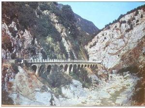 C. Postale  ALGERIE - BLIDA - GORGES DE LA CHIFFA (Ed. Rear, 1985)