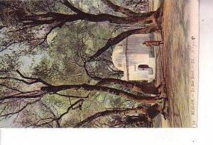 BLIDA Le bois sacré colorisé