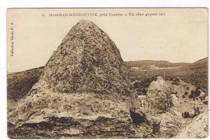 GUELMA HAMMAN MESKONTINE  UN CONE GEYSER TARI