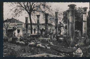 Guelma (Algérie) - Ruines Romaines dans le Square