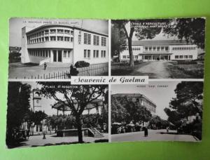 Guelma ( Algérie ) souvenir
