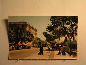 Guelma - L'Avenue Sadi Carnot