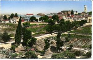 guelma - vue générale  n° 7