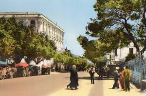 GUELMA L AVENUE SADI CARNOT ( LOT 29B )