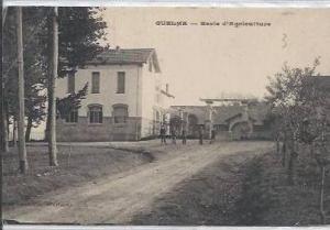 guelma ecole agriculture