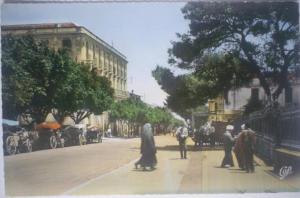 C. Postale  ALGERIE - GUELMA - AVENUE SADI CARNOT ( 1907)