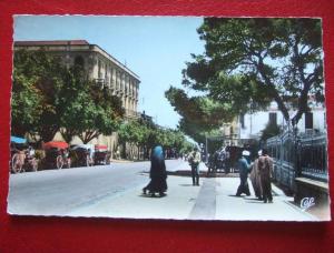 ALGERIE - GUELMA - L'AVENUE SADI CARNOT -
