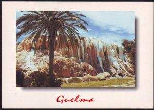 ALGERIE - ALGERIA - CP - Hammam  Maskhoutine - Neuve/Mint