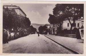 CSM  -     5.  GUELMA - Rue Sadi-Carnot