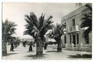 Algérie. Souvenir de Guelma. Rue Zama