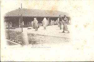 ALGERIE * GUELMA - Marché aux grains