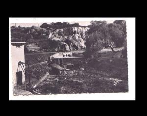 ENVIRONS DE GUELMA HAMMAM-MESKOUNE - CACASDE D'EAU CHAUDE 90
