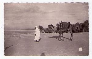 cpsmGUELMA (algérie) prière dans le Désert, en 1956.     (1436)