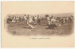 cpa precurseur Algerie Guelma Le Marché aux bestiaux Beau plan