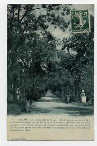 CPA == ALGERIE  GUELMA la grande allée du square-- C151