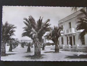 GUELMA (Algérie) - Rue Zama - non voyagée - Ed. Photo-Africaines