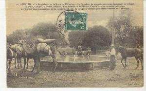 GUELMA  -  LE ROND-POINT ET LA ROUTE DE MILLÉSIMO