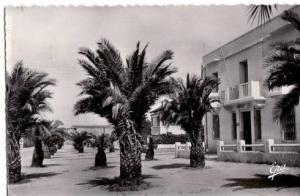 Guelma - Rue Zama   Achat Immédiat