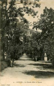 guelma la grande allee du square 31 collection nataf carte precurseur