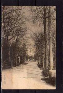 ALGERIE Guelma Square, ed Nataf 11, dos 1900