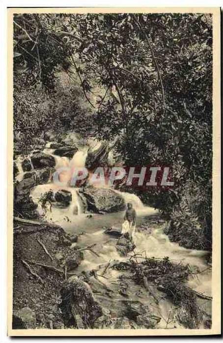 CPA Environs de Blida Les bords de la Chiffa Le Ruisseau des Singes