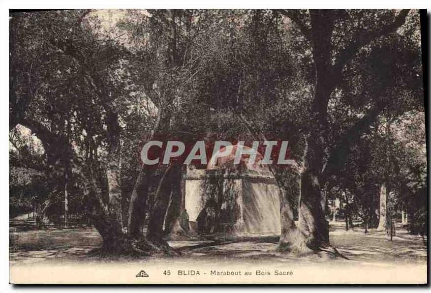 CPA Blida Marabout au Bois Sacre