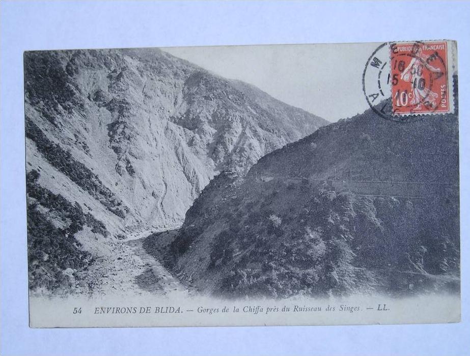 CPA - ENVIRONS DE BLIDA - GORGES DE LA CHIFFA PRES DU RUISSEAU DES SINGES