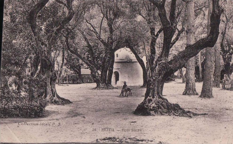 cpa Blida Bois Sacré 31