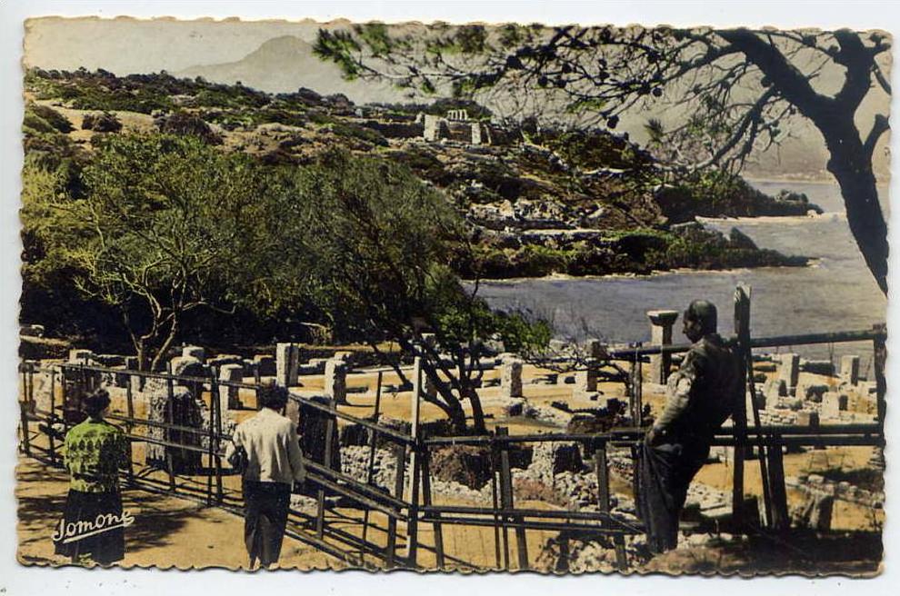 Algérie-- TIPASA-- Vue générale (animée au 1er plan ) ,cpsm  9 x 14 n° 16 éd Jomone