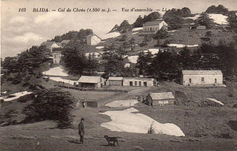 Col de Chréa - vue d´ensemble