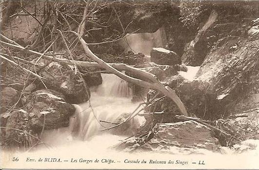 BLIDA - GORGES DE LA CHIFFA - CASCADE DU RUISSEAU DES SINGES