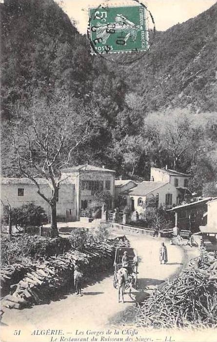 Afrique-Algérie  (Blida) Les Gorges de La Chiffa -Le Restaurant du Ruisseau des singes (Editions LL  n°51)*PRIX FIXE