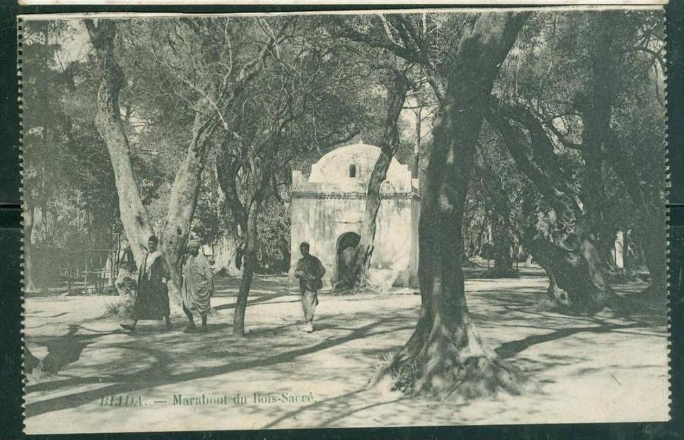 Blida - marabout du bois sacré  - UY140