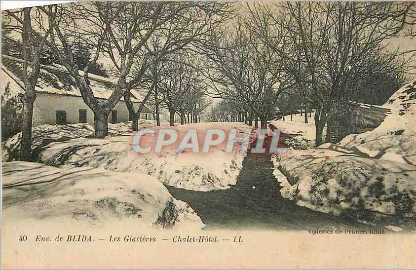 CPA Env de Blida Les Glacieres Chalet Hotel