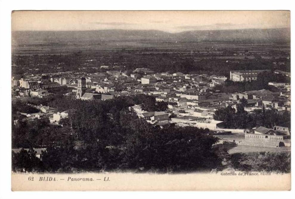 blida (algerie ) panorama
